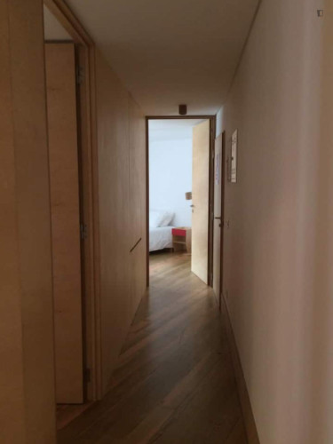 Inspiring 2 Bedroom Apartment close to University of Coimbra - Gallery - 15