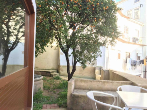 Inspiring 2 Bedroom Apartment close to University of Coimbra - Gallery - 9