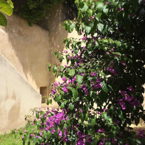 Inspiring 2 Bedroom Apartment close to University of Coimbra - Gallery - 10