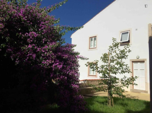 Inspiring 2 Bedroom Apartment close to University of Coimbra