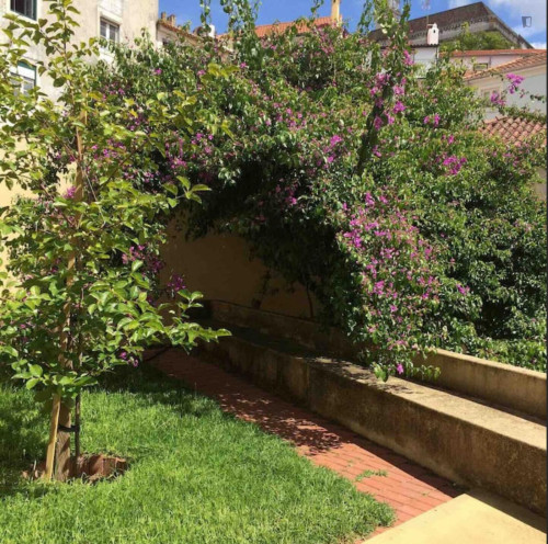 Inspiring 2 Bedroom Apartment close to University of Coimbra - Gallery - 13