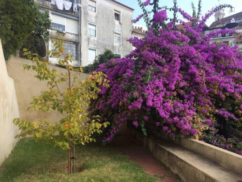 Irresistible 1 Bedroom Apartment close to Coimbra Train Sation - Gallery - 11