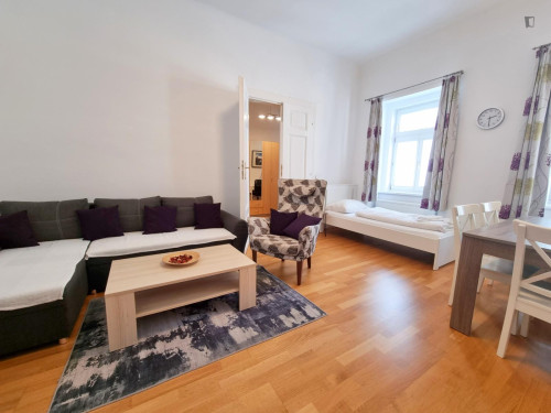 Excellent 2-bedroom apartment in Leopoldstadt
