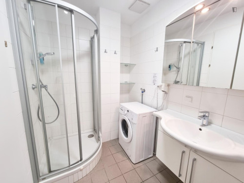Elegant 2-bedroom apartment near the Praterstern train station - Gallery - 10