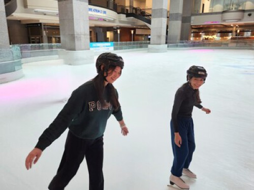 Come to study, live with a family 