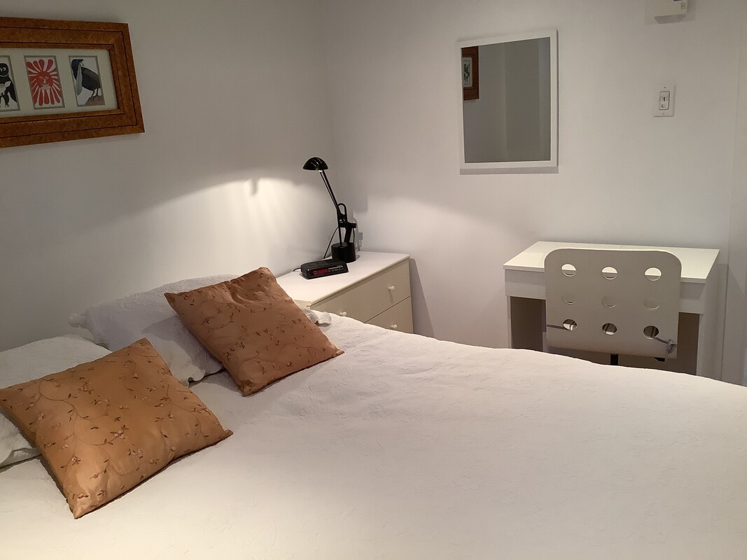 Basement Private Bedroom(Full Room) - 1