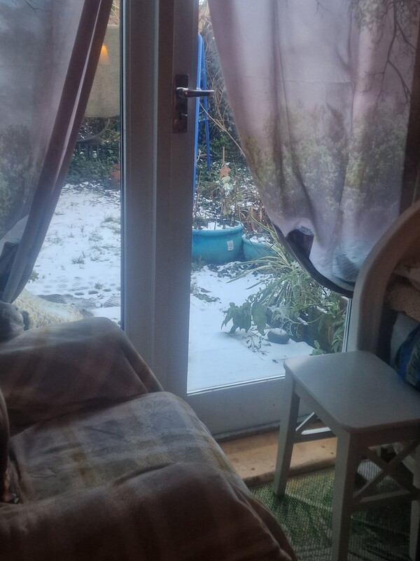  Garden Room (Single Bed)  -  Garden Room  - Gallery -  1