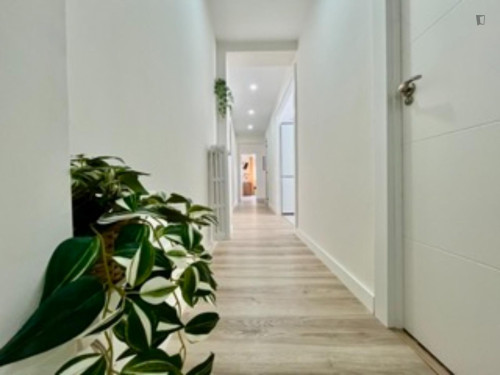 Comfy single bedroom in Delicias - Gallery - 15