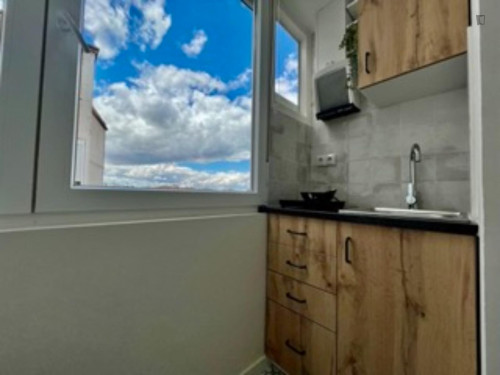 Splendid double ensuite bedroom with a kitchenette, near Parque del Castillo Palomar - Gallery - 11