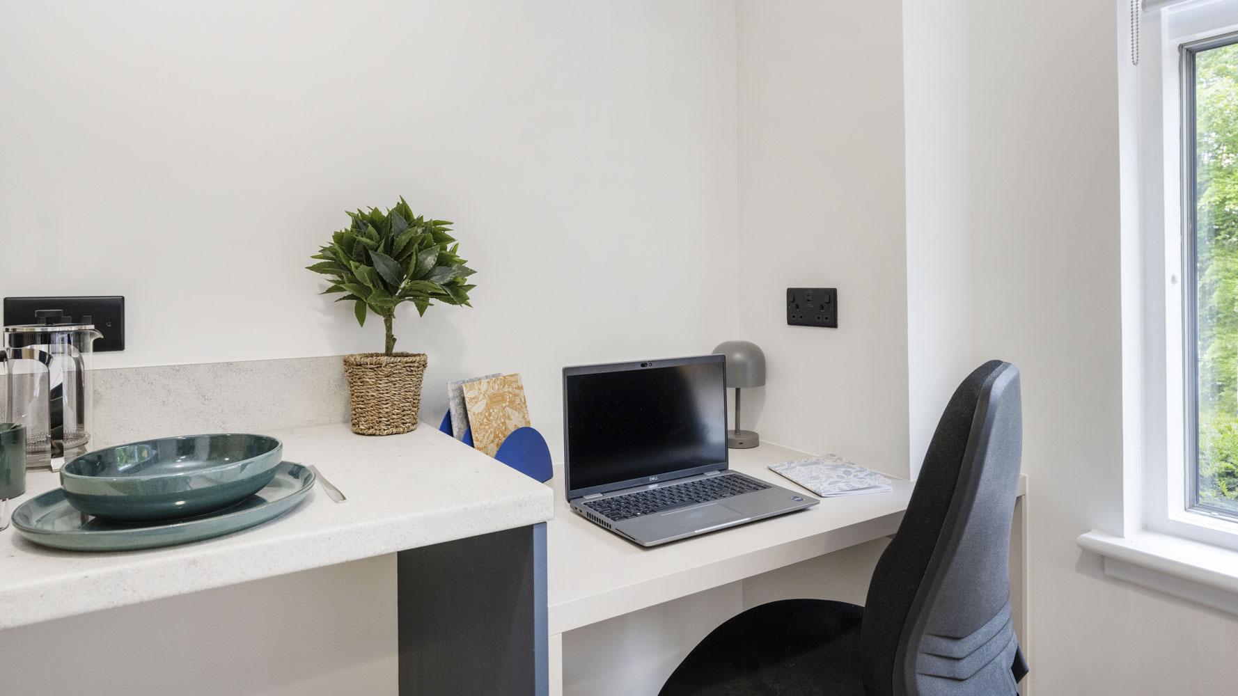  Classic Plus Studio  -  Discovery Studios  - Gallery -  2