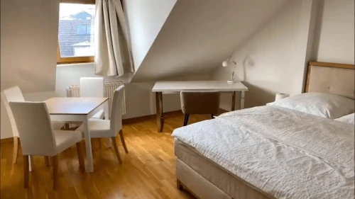 Lovely 3 bedroom loft apartment in Staufenstrasse