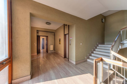 Masini 4 - Gallery - 14