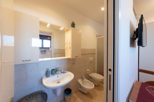 Masini 4 - Gallery - 11