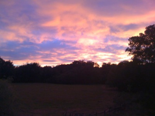 relaxed,country 