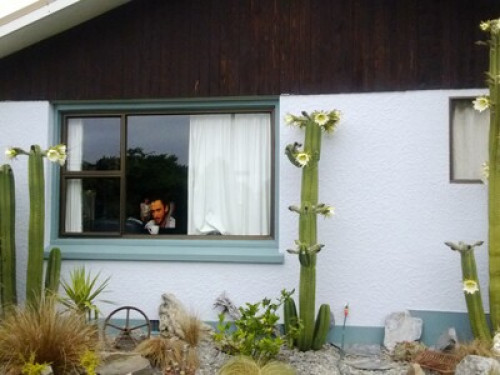Kiwi Homestay