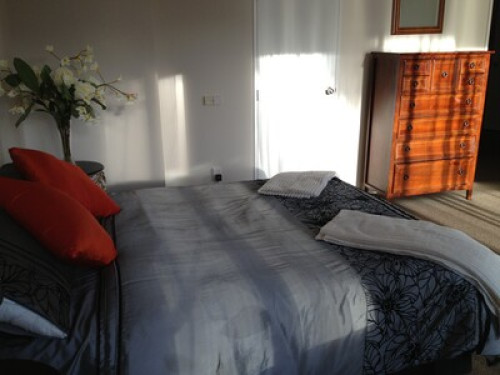Private views of native NZ bush