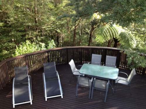 Private views of native NZ bush