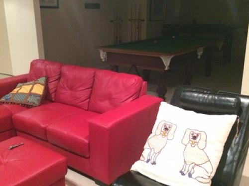 Five star experience