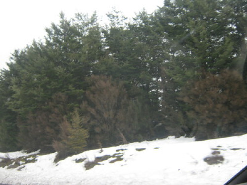 Welcome to your HOME @ The Bay!