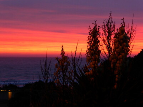 Friendly family on beachfront