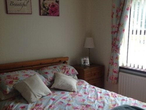 Warm and friendly family home  - Gallery -  5