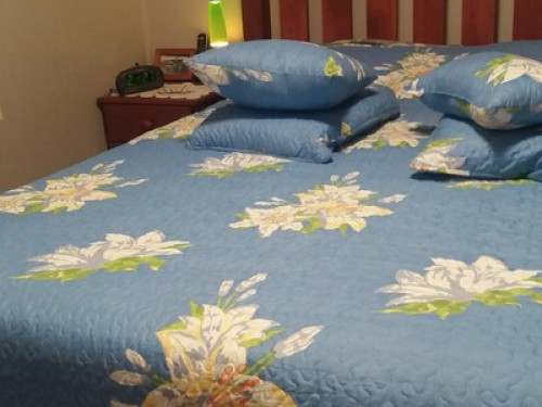 Lovely peaceful home