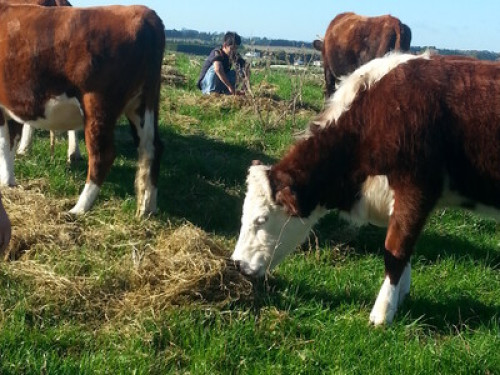 Rustic Country Farmstay 