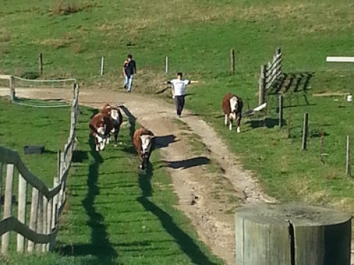 Rustic Country Farmstay