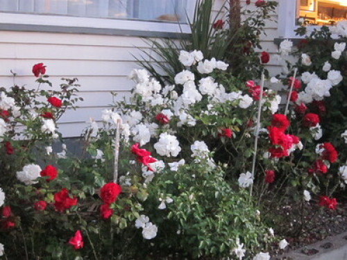 Restful pit stop between cities.