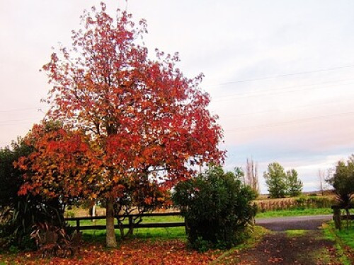 Restful pit stop between cities.