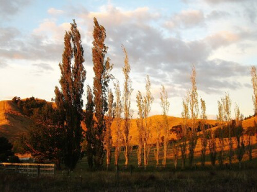 Restful pit stop between cities.