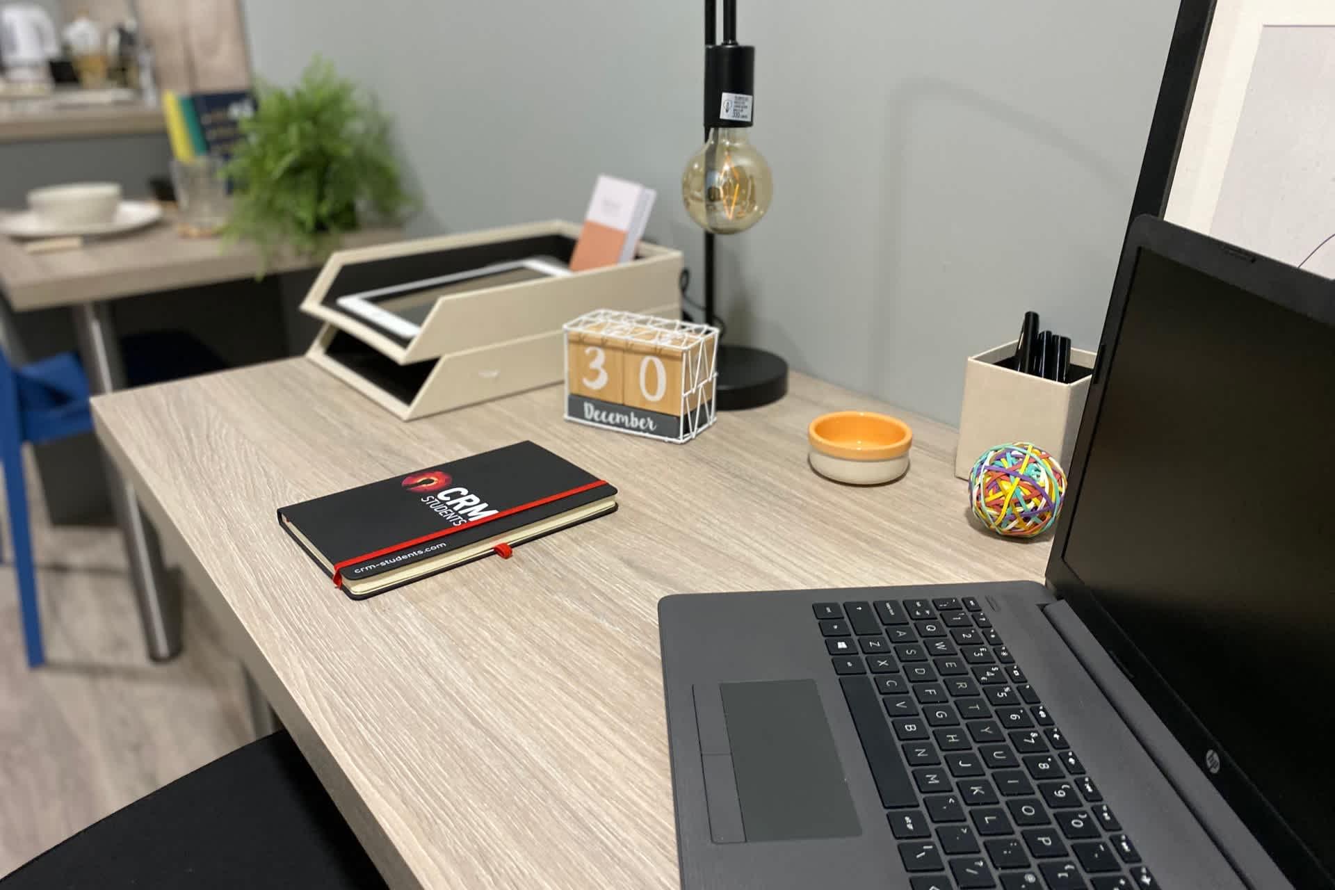 Large Studio - Luneside - Gallery - 4