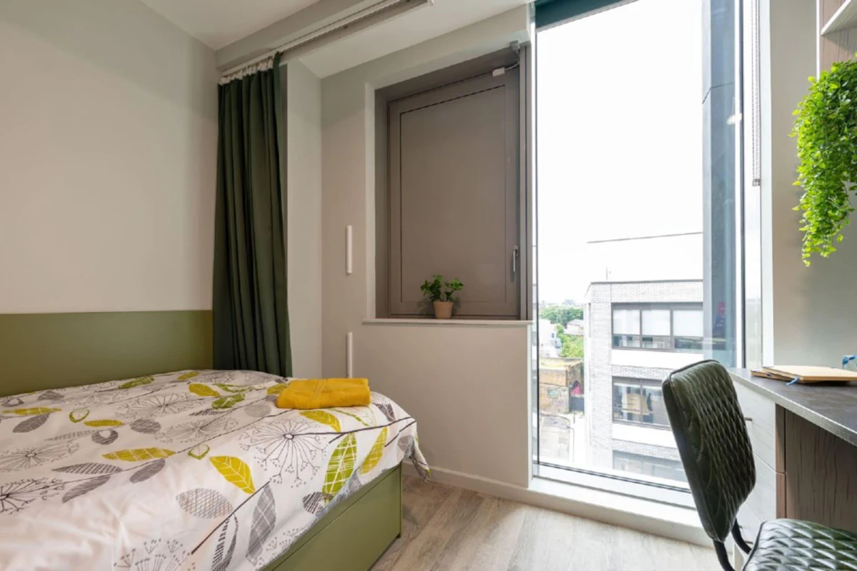 Standard Twin - Flora Building - Gallery - 1