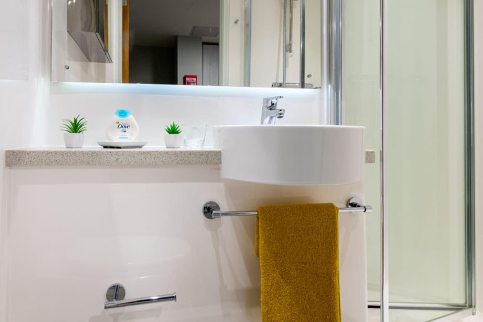  Premium Studio  -  Flora Building  - Gallery -  12