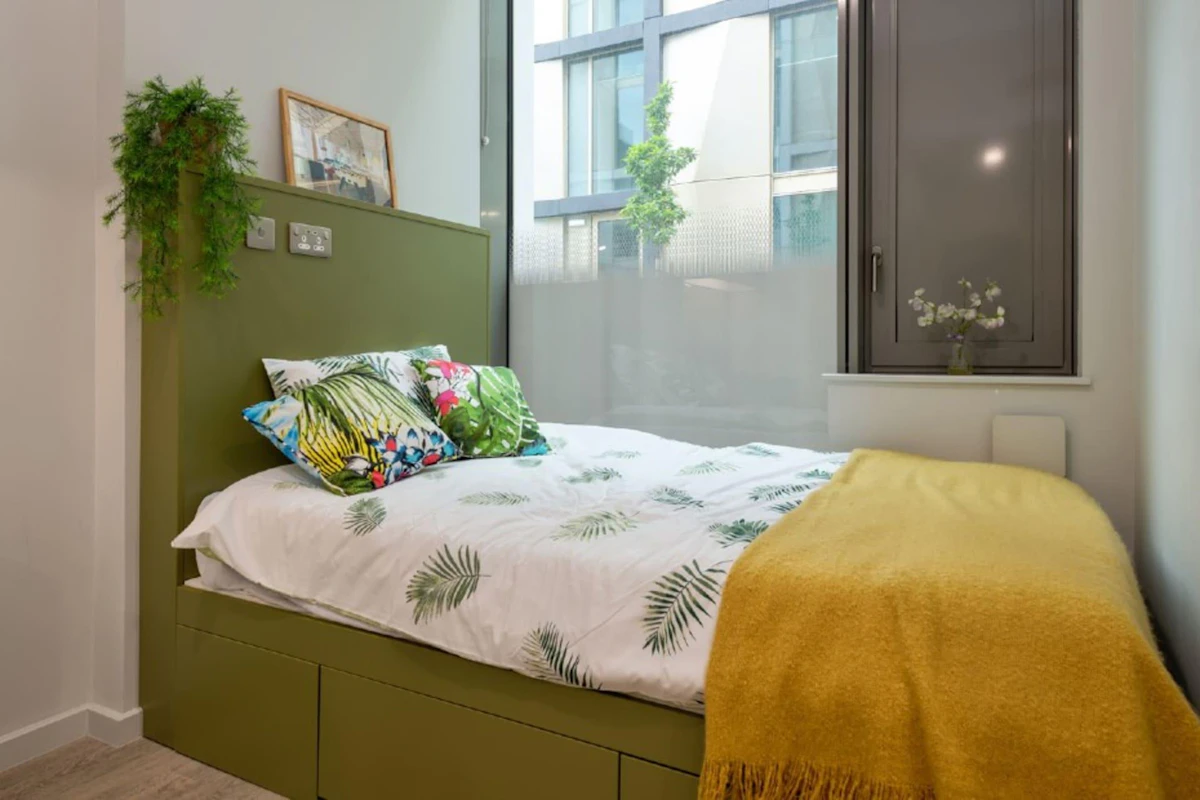 Premium Plus Studio - Flora Building - Gallery - 1