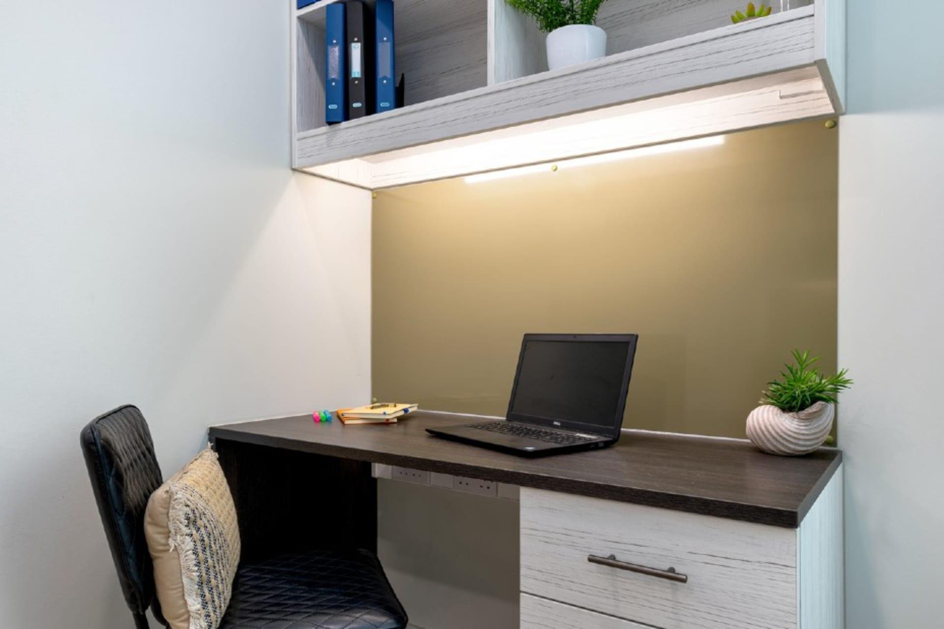  Premium Plus Studio  -  Flora Building  - Gallery -  16