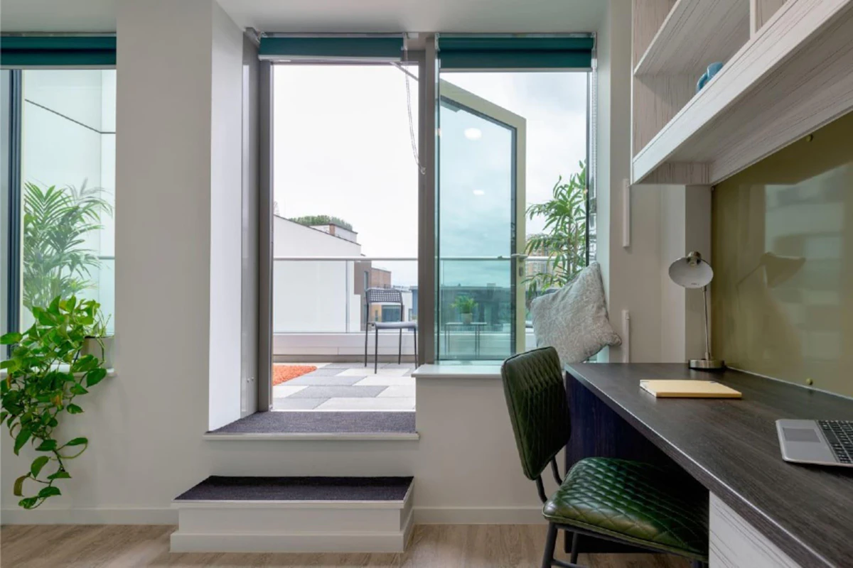  Premium Terrace Studio  -  Flora Building  - Gallery -  5