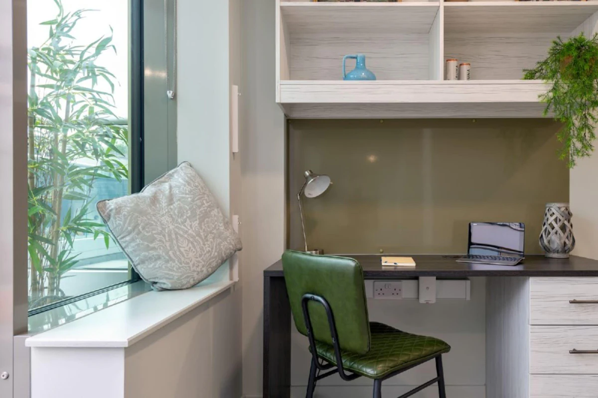  Premium Terrace Studio  -  Flora Building  - Gallery -  6