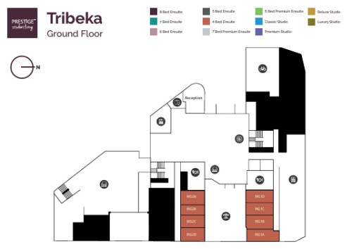 Tribeka - Gallery - 19