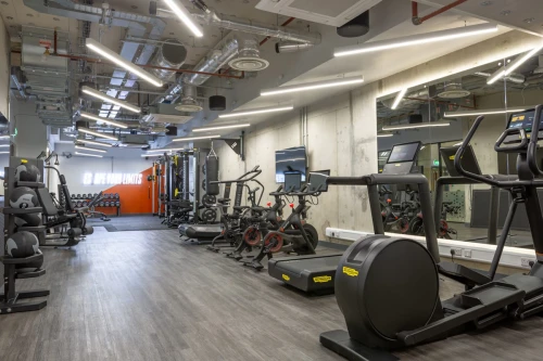 Tribeka  - Gallery -  5