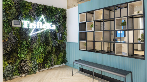 Tribeka  - Gallery -  5