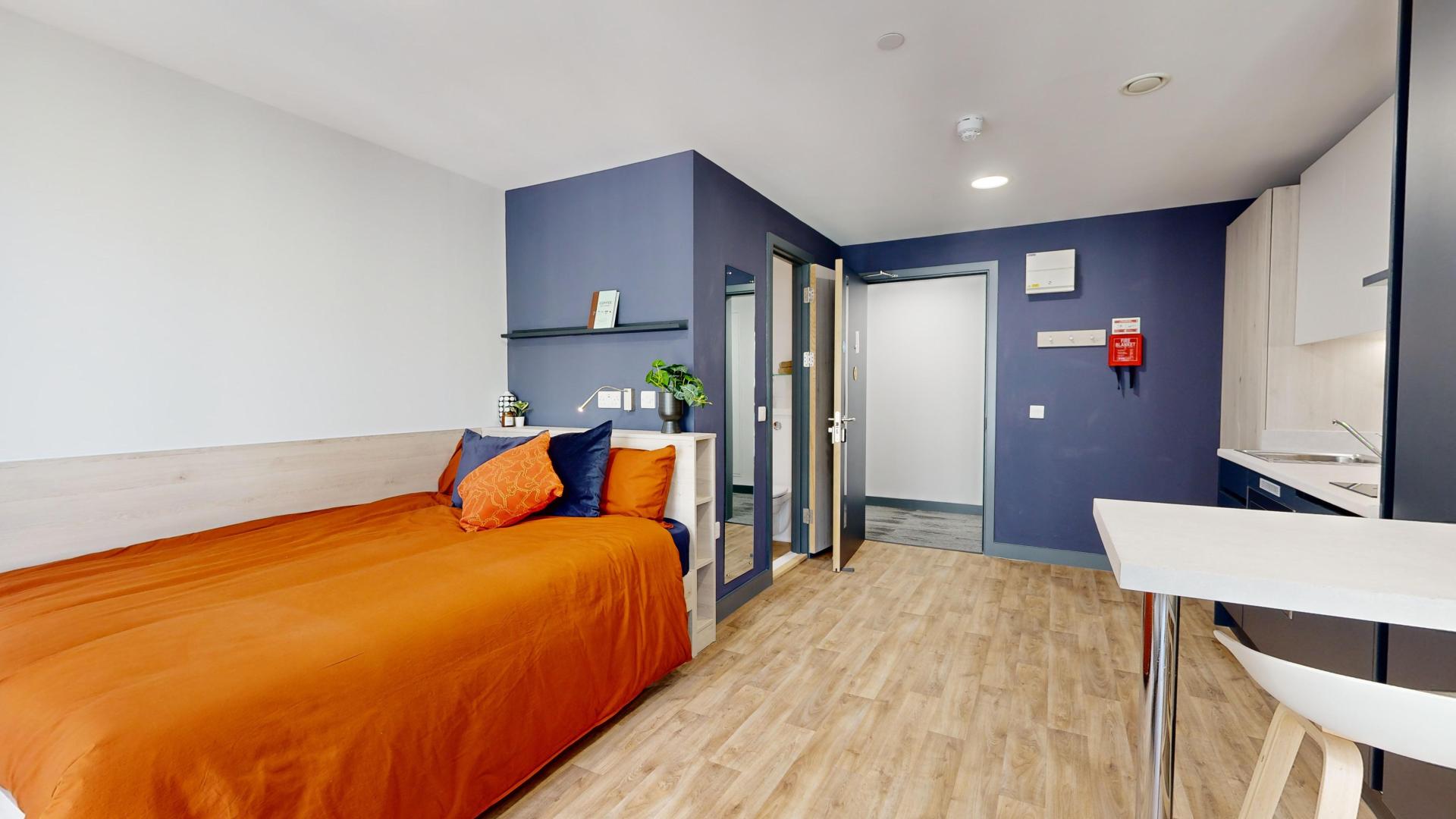  Premium Studio  -  Tribeka  - Gallery -  6