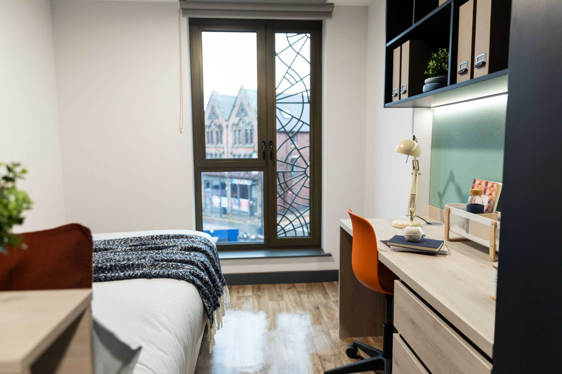  Standard En-Suite  -  Tribeka  - Gallery -  23