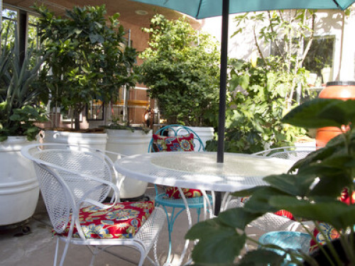Garden Oasis near Qualcom,UCSD area - Gallery - 32