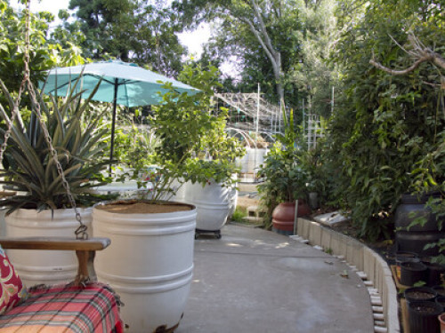 Garden Oasis near Qualcom,UCSD area - Gallery - 33