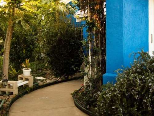Garden Oasis near Qualcom,UCSD area - Gallery - 40