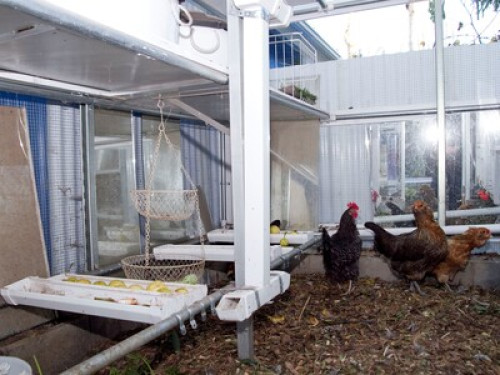 Garden Oasis near Qualcom,UCSD area - Gallery - 27