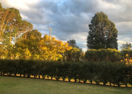 Near Macquarie University Homestay