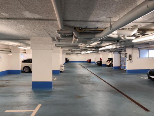 Stupendous studio in quiet Oberschöneweide