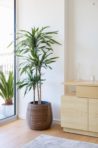Bright 2-bedroom flat in Espinho - Gallery - 50